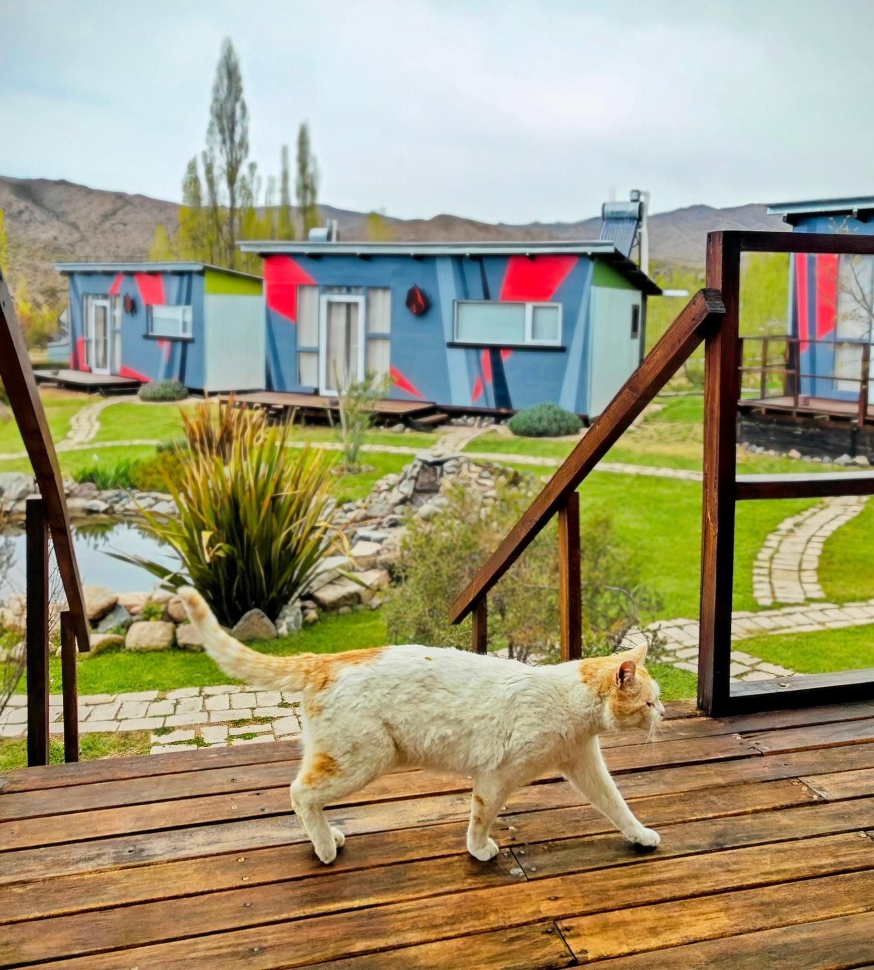 Villa Casa Faro Arte Potrerillos Exterior foto